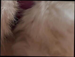 Video 1601752481: fetish gay solo masturbation, solo masturbation uncut, solo masturbation chubby, chubby bear solo, uncut dirty cum, homemade masturbation solo, uncut young gay, uncut cumshot, european solo masturbation, solo masturbation hd, younger chubby, nasty cum