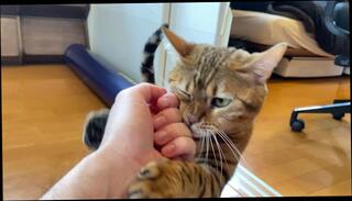 Video 1580217443: solo male cumshots gay, gay bareback cumshot, blowjob barebacking gay, bareback amateur gay, bareback straight gay, gay bear bareback, gay muscle bareback, gay guys bareback, ass pussy, licked clean