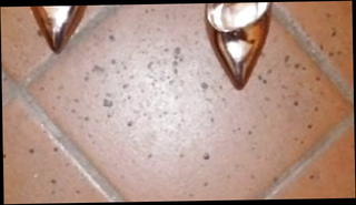 Video 1430045201: shemale feet solo, nylon feet shoes, stocking feet