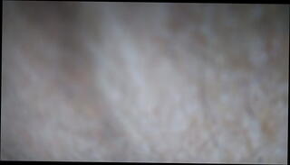 Video 831525385: gay ass licking, ass hole sucking