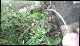 Video 507863101: pissing outdoors gay, pissing amateur, pissing hd