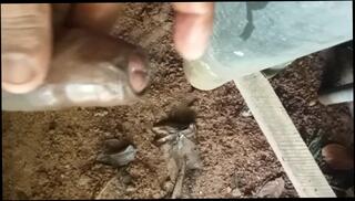 Video 1617023783: solo girl fetish, fetish gay solo, interracial cartoon, solo sexy amateur girl, interracial gay ass fuck, asian shemale solo cum, black shemale solo cum, interracial group ass fuck, big ass shemale solo, straight amateur solo, japanese solo cum, solo male cum, thick girl solo, shemale public solo, interracial daddy, interracial mouth