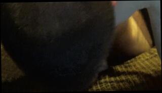 Video 139160103: solo amateur toys, solo male toy, solo female toys, friend solo, missionary, lady