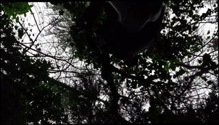 Video 776945101: straight boy, african boys