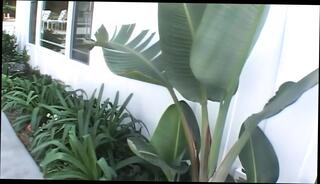 Video 1593238611: barbie cummings, boobs big booty ass, pussy ass booty, big titted booty ass, pornstar ass booty, huge boobs big booty, booty hot big ass, big booty hardcore, big booty straight, booty taking big, big booty love, biggest booty, booty time, hd big booty, cock cum pussy, pussy rammed hard, boobs face ass, cute boobs pussy