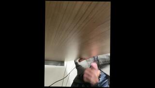 Video 1058247503: solo uncut cock masturbating, uncut solo male, uncut cock wank cum, dick solo masturbating cumming, wanking big uncut cock, solo male masturbation cumshot, solo masturbation handjob, solo amateur masturbation, solo public masturbation, hung uncut cock, secret solo, office solo, british solo male