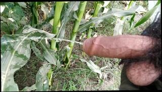 Video 1511260003: gay uncut boys pissing, solo gay uncut cock, uncut guys pissing, solo male piss, pissing gay porn boys, uncut dick gay porn, amateur solo gay porn, piss outdoor gay boys, boys pissing public gay, straight guy pissing gay, pissing big gay dick, indian uncut cock, desi uncut dick, amateur solo hd