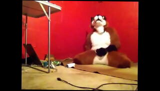 Video 490719825: gay furry cum, gay furry anal, furry masturbation