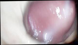 Video 1225716201: tied balls cock, hard cock balls, very horny cock, strip ball, gay cock, super hard cock, home ball