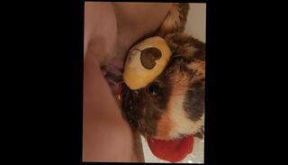 Video 1600954963: milf pissing pee, horny milf pissing, amateur milf pisses, horny milf solo, pee desperation pissing, solo female pissing, horny naughty milf, horny milf hard, bear pissing