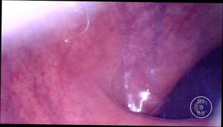 Video 1602787263: femboy gaping ass, femboy solo ass, gaping ass fetish, femboy solo anal, amateur femboy solo, pov anal gape, pump inflation, cute femboy solo, solo male pov, anal sex ass gaping, gaping ass fucked anal, big ass femboy fucked, anal sex fetish old, anal gape webcam, gaping ass stretched, amateur young femboys, pov german amateur, natural femboy, pov camera, huge ass