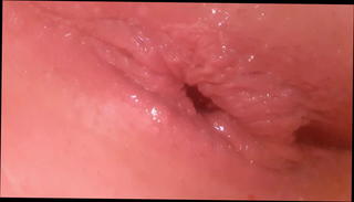 Video 1566858361: shemale creampie girl, amateur shemale creampie, austrian amateur girl