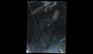 Video 1577334483: solo masturbation feet, solo amateur masturbation, black pantyhose masturbation, solo male masturbation, solo masturbation playing, asian solo masturbation, cosplay feet