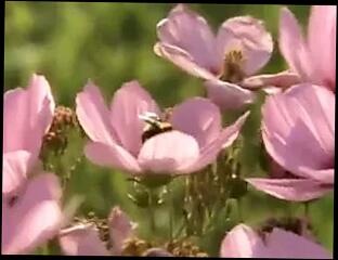 Video 46179001: jenny mccarthy, tits milf compilation, vintage compilation, compilation blonde milf, tits celebrity compilation, compilation straight, best compilation