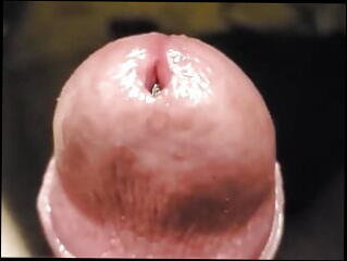 Video 1602491581: solo uncut cock masturbating, solo gay uncut cock, fetish gay solo masturbation, submissive sex slave, gay humiliation slave, cock sex toys fetish, urethral sounding slave cock, uncut big cock masturbation, gay uncut penis, amateur uncut cock, homemade fetish sex, cock close uncut, slip fetish, urethra cum, canadian cock, cum stuffed, cum three, cum tight