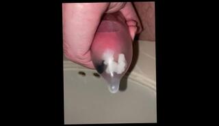 Video 1398694203: solo male masturbation pov, pov solo cumshot, condom pov, virgin pov, dick solo masturbating cumming, solo cock masturbation cum, pov handjob cumshot, pov amateur horny, cumshot orgasm pov, pov big dick cumshot, pierced cock solo, slow pov handjob, sperm condom, pov ejaculation, cum close solo, behind pov, semen sperm orgasm, massive cumshot