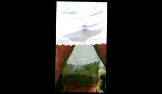 Video 1654144433: vintage solo porn, solo masturbation moaning orgasm, dick solo masturbating cumming, solo male masturbation moaning, vintage porn sex, sexy trans solo, solo amateur trans, solo big dick cum, solo masturbation first time, solo asian trans, panties solo masturbation, solo public masturbation, toilet solo, dress porn