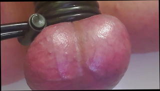 Video 1461171301: sissy sex slave, amateur bdsm slave, gay bdsm slave, mistress slave, sissy cbt, slave sex toys, slave's penis, small cock sissy, american slave, slave hd