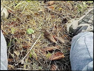 Video 1575314171: gay hairy cum, hairy big cock cum, hairy cock masturbation, hairy bear cumming, hairy men cumming, hairy man cum, hairy guy cums, hot hairy gay men, fat hairy cock, hairy muscular guys, hairy outdoor, hairy romanian, hairy public, hd hairy, dick outdoor cums, dirty clothes