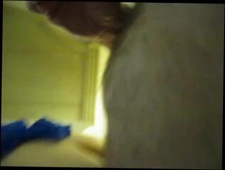 Video 300512601: shemale bareback ass fucking, bareback ass fucking amateur, shemale fucks guy bareback, bareback fucking big, lingerie bareback, man fucking