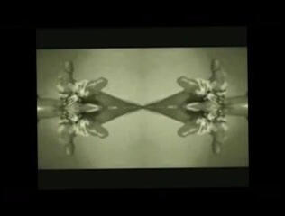 Video 151582001: oiled cock, oiled balls, tied oiled, gay amateur porn masturbation, gay stroking cock porn, daddy cock gay, cock handjob masturbation, gay porn fantasy