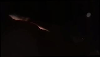 Video 1517662445: gay sex dick, sex dick fucking