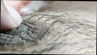 Video 1654721351: femboy bbc, femboy fingering, teen boy fingering cumming, boy fingering girl indian, cock femboy cum, bbc boy toy, gay boy fingering, homemade femboy sex, femboy masturbating cumming, fingering straight boy, indian desi girl fingering, cock bbc guy, young boy bbc, teen femboy old, rough bbc sex, giant bbc, men bbc, bbc hd, web girl