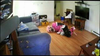 Video 304861401: latex sissy slut, sissy solo, sissy bdsm, sissy slut toys, sissy shemale slut, sex toy sissy, mistress dirty, solo toy hd, sissy stockings, mistress ties, mistress panties