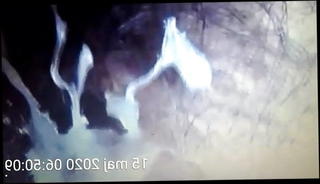 Video 1272502101: mom handjob cumshot, wife handjob cumshot, amateur wife handjob, mom pussy amateur, mature mom wife, amateur brunette mom, mature straight amateur, polish mom