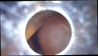 Video 1514985001: pee gay, pee inside, pee hole, man peeing, cock exploring, takes cock