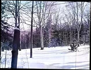 Video 370826301: vintage orgy, orgy group hardcore sex, orgy group sex blowjob, orgy straight, white orgy, classic porn