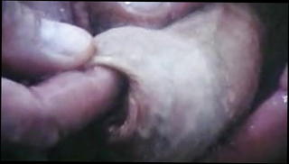 Video 1418105101: hairy daddy masturbation, gay hairy daddy, hairy daddy playing, hot hairy gay men, hairy shower, dude shower