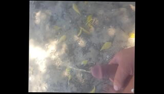 Video 772236115: nudist, gay nude beach