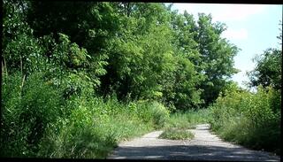 Video 259000001: gay crossdresser, crossdresser posing, crossdresser outdoor, man crossdresser