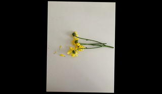 Video 970044101: interracial gay cock, interracial muscle hunk, interracial black cock asian, big black cock interracial, takes interracial, interracial muscular, interracial hd