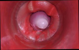 Video 1632481001: bareback twink boy pov, twink solo cumshot compilation, crossdresser bareback creampie, dick twink solo cum, pov blowjob bareback anal, gay bareback twink boy, homemade creampie cumshot compilation, pov sex blowjob creampie, amateur creampie cumshot compilation, grandpa blowjob compilation, twink ass hole barebacked, big cock bareback compilation, condom cumshot compilation, crossdresser solo masturbation, hunk barebacks twink, fetish pov blowjob, solo toying compilation, pov creampie inside, extreme creampie compilation, bear creampie compilation, creampie compilation close, twink barebacking outdoors, creampie compilation hd, crossdresser big dick penetration, anal insertion compilation, pussy cum