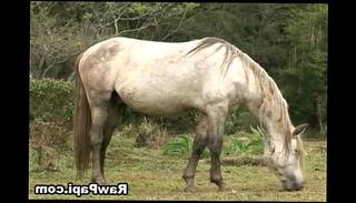 Video 332199015: horny bareback, hot latino bareback, gay anal