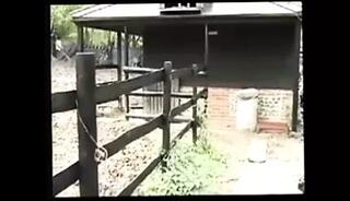 Watch the video about Stundent needs a spanking