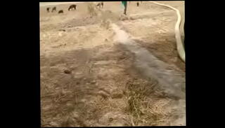 Video 852918265: deep throat big cock, exotic deep throat, deep throat indian