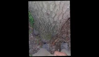 Video 1610400043: solo male piss, piss compilation, solo gay amateur, pissing experience, piss shower