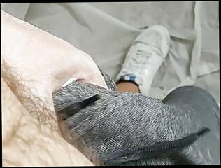 Video 1571786451: hairy big cock cum, hairy daddy big cock, gay hairy cum, hairy cock masturbation, amateur hairy cock, hairy hunk gay, hairy bear cumming, thick hairy cock, fat hairy cock, dirty hairy, hairy cocks hot, handjob hairy, load hairy, hairy romanian, hd hairy, good dirty, cock rubbing