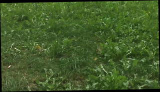 Video 1009254601: gay dick jerk, gay man jerking, dick public gay, public park jerk, jerk hd