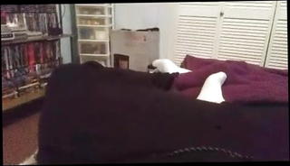 Video 1542310601: solo hunk masturbating, gay hunk solo, solo big cock masturbation, solo amateur masturbation, muscle hunk solo, bear solo masturbation, solo hot cock, muscular solo, smooth dick, great dick, good dick