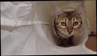 Video 1579567953: milf creampie compilation, milf lesbian anal fucking, lesbian pussy eating compilation, milf lesbian toying, girl creampie compilation, ass creampie compilation, milf lesbian babes, milf lesbian masturbates, asian milf creampie, milf fucks student, cute pussy creampie, pussy toy play, dark toy