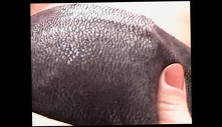 Video 1654880041: crossdresser threesome, threesome cock sucking fucking, ass threesome anal fuck, threesome fuck anal sex, tits blowjob fucking threesome, shemale fucks guy threesome, anal threesome fucking hard, huge tits threesome fuck, crossdresser tranny shemale, threesome rough anal sex, shemale crossdresser ladyboy, big cock shemale threesome, hot threesome anal fucking, crossdresser fucks sexy, big boobs anal threesome, shemale threesome cum, love anal threesome sex, big dick threesome fuck, crossdresser anal masturbation, anal threesome porn, anal threesome cumshot, crossdresser ass hole, threesome fucking hot blonde, threesome fucking beautiful, crossdresser sexy lingerie, anal threesome hd, trans beautiful lady boys, blowjob amazing anal sex, gorgeous trans beautiful lady, big tits tight ass, males lady boys, portuguese ass