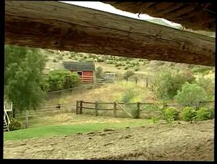 Video 20325604: fucked cheater caught