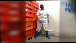 Video 1506988801: masturbating cum jerk, gay jerks cum, cumshot masturbation jerk, gay handjob cum, bear jerking cumming, masturbation fat gay, hd handjob cumshot, german jerking