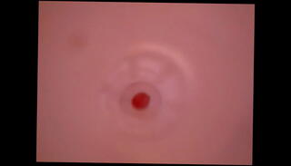 Video 188965365: twink fucking fleshlight, fleshlight fuck cum inside, fucking fleshlight toy, cock fucking fleshlight, gay twink cum, teen fleshlight