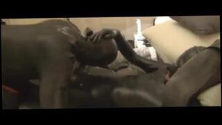 Video 122919501: horny latex, gay latex, latex play, latex friends, latex man, friend action