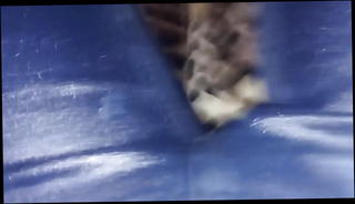 Video 1553442501: piss pee jeans, solo pee, shemale pee, shemale lingerie solo, british pee, pee hd